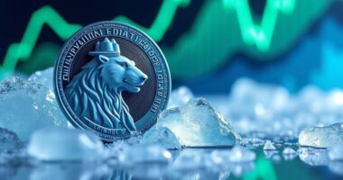 arctic pablo coin surge