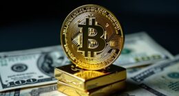 bitcoin reserve risk increase