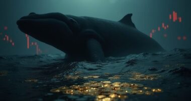 ancient whale sells bitcoin