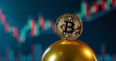 bitcoin bubble warning imminent
