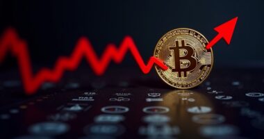 bitcoin soars trading drops