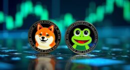 meme crypto future potential