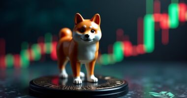 shiba inu 2025 surge