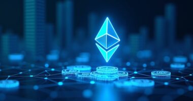 coinbase lowers usdc fees