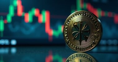 sui stock rises despite doubts