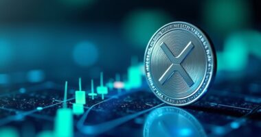 xrp targets 20 august rally