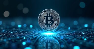 usdc integrates with hyperliquid