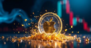 pippin 148 binance burn