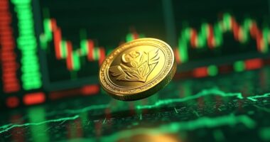 tensor 342 weekly takeover