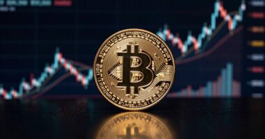 dominant player caps price